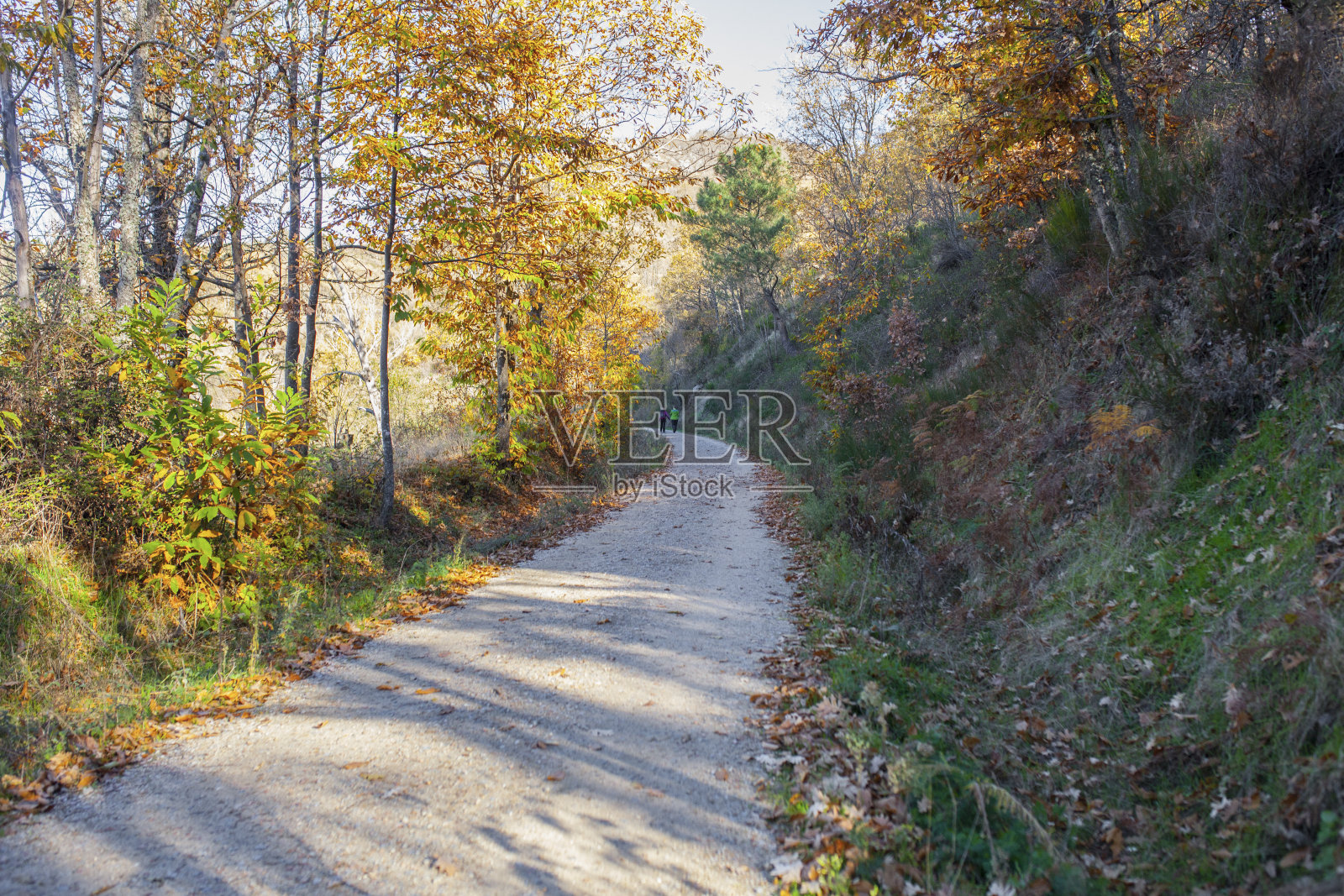 绿色之路，Banos de Montemayor在魔法秋天，埃斯特雷马杜拉，西班牙照片摄影图片
