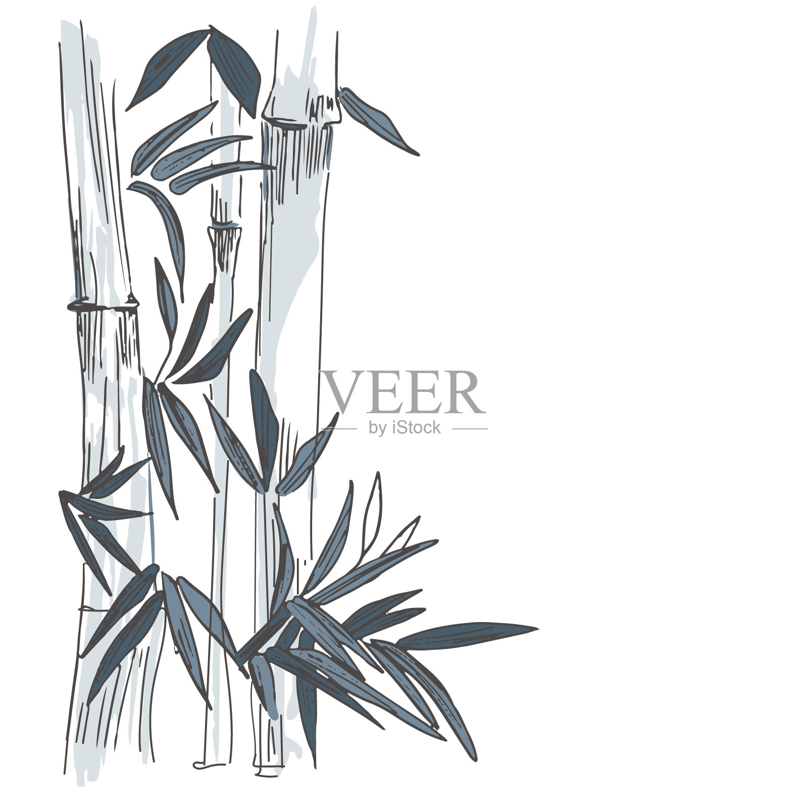 竹子和棕榈叶。有型的抽象图形图案。线的艺术。名片，请柬，名片。植物矢量元素的设计设计元素图片