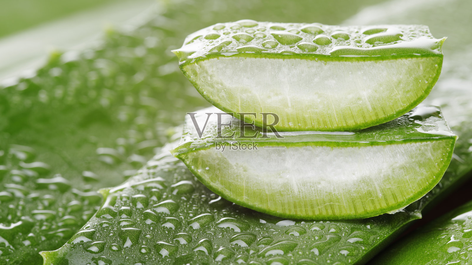 切片绿色芦荟植物与水滴照片摄影图片