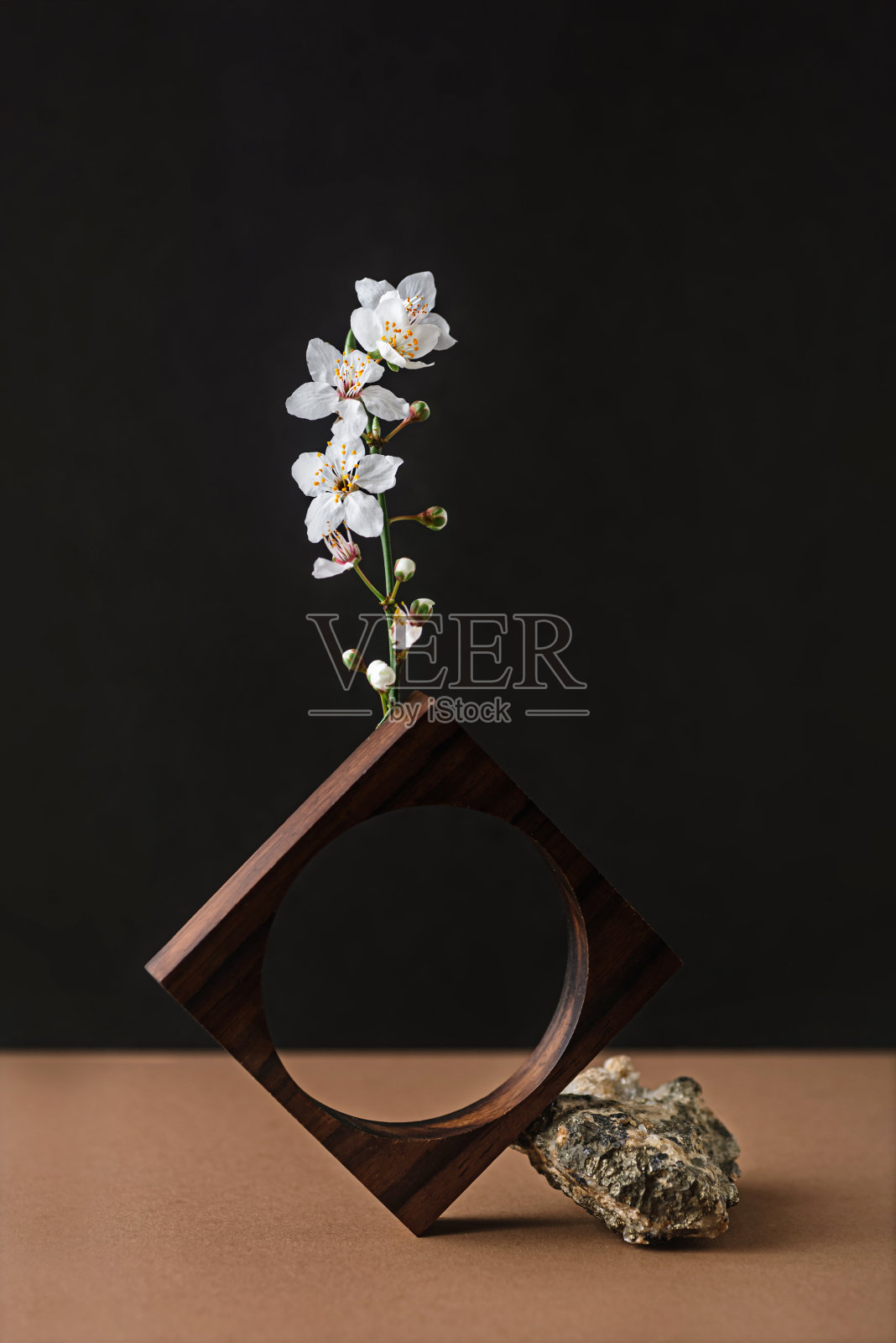 樱花枝，静物雕塑照片摄影图片