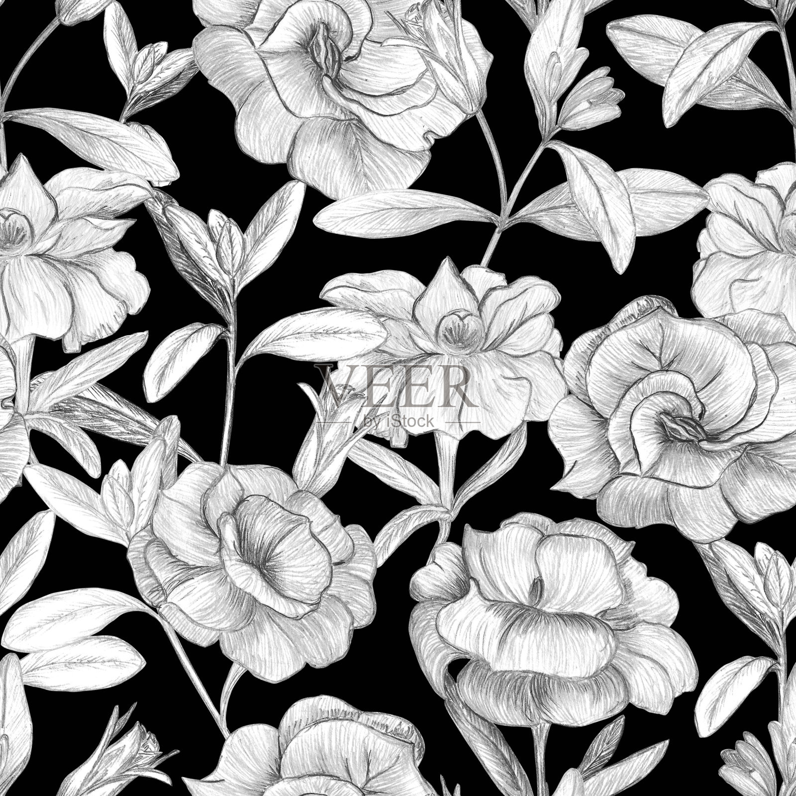 植物无缝模式。画眉花是手绘在黑色背景上的。用铅笔描画花瓣、叶子、树枝。插画图片素材