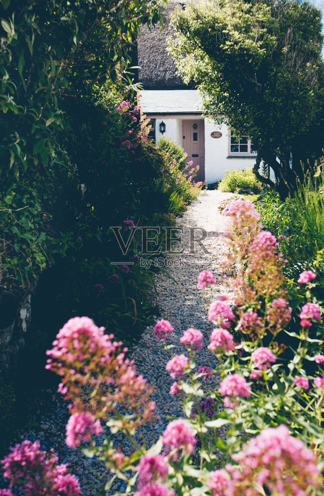 美丽的乡村小屋与英国花园照片摄影图片