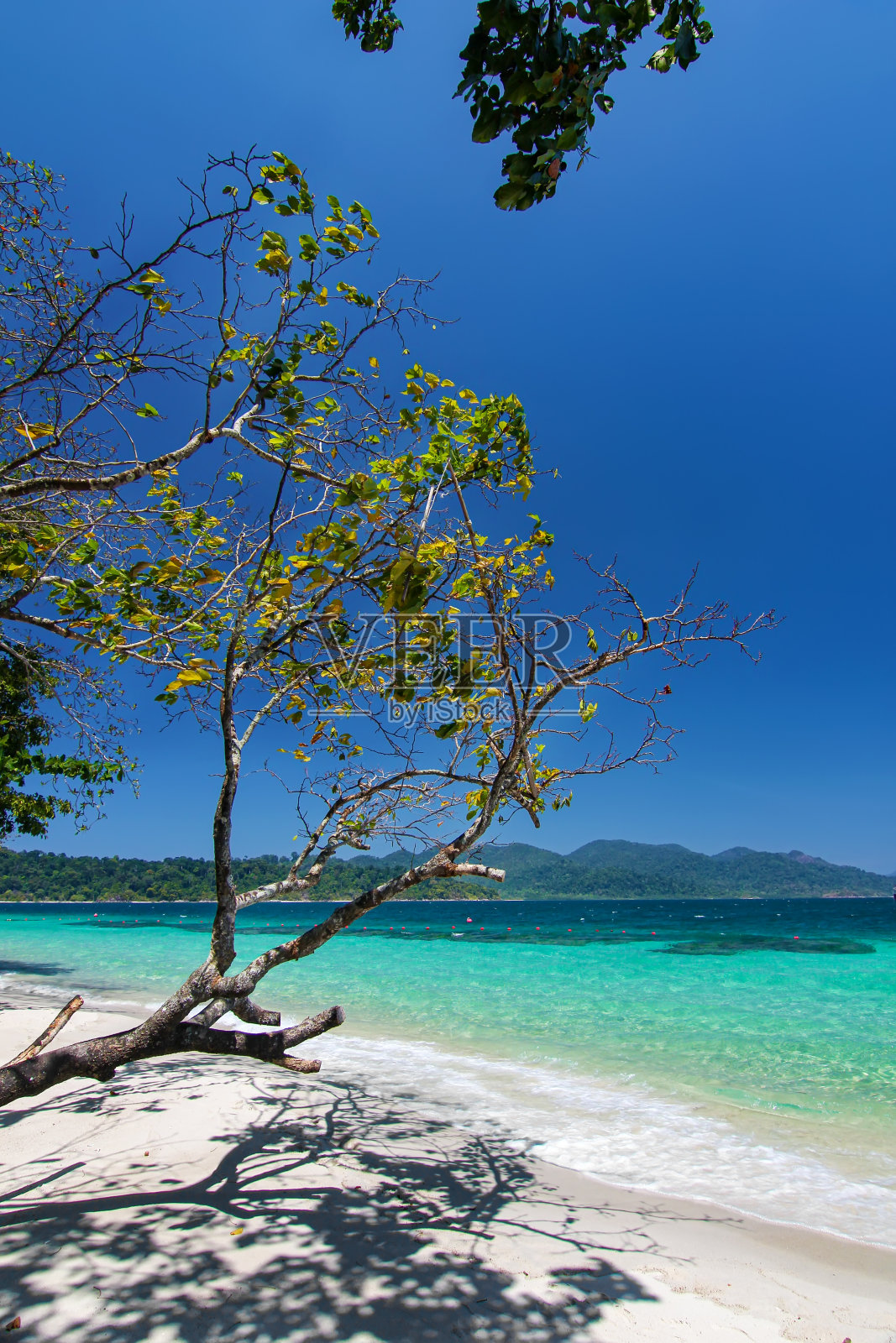美丽的泰国旅游岛“Koh Lipe”白色沙滩与新鲜的树木和绿松石海水与和平清澈的蓝天景观背景照片摄影图片