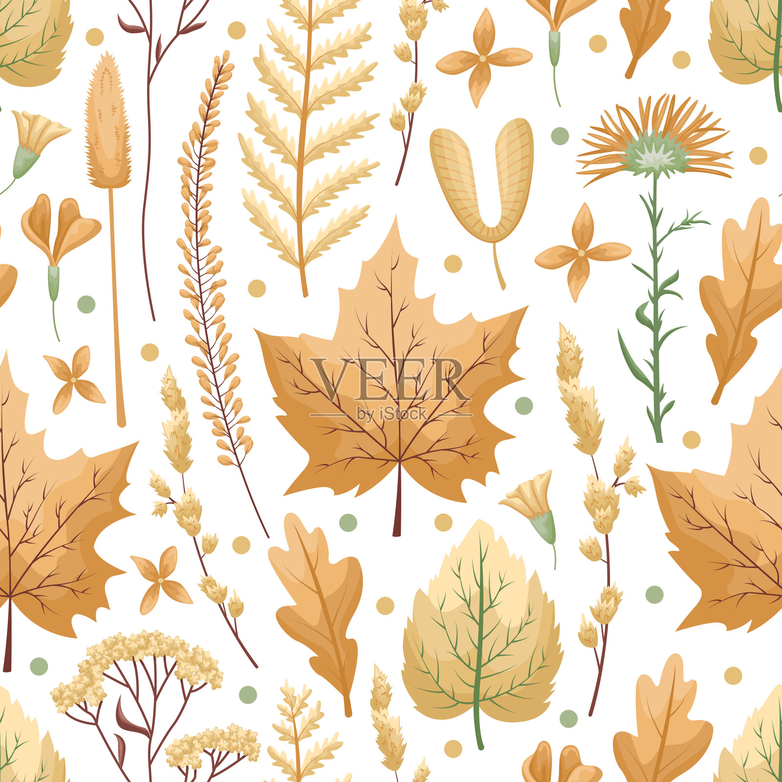无缝矢量模式与植物标本馆的叶子和花在白色的背景。秋天的颜色，秋天的树叶。插画图片素材