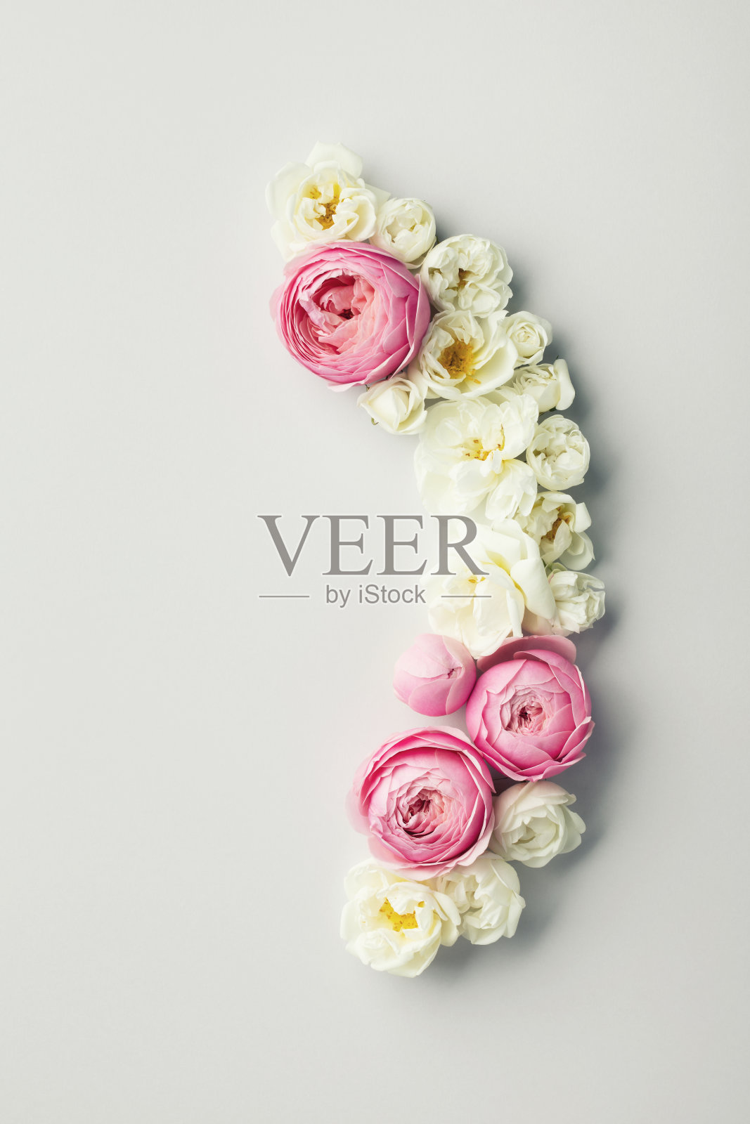 美丽的鲜花安排与白色和粉红色的玫瑰鲜花贺卡。俯视图和平放风格。照片摄影图片