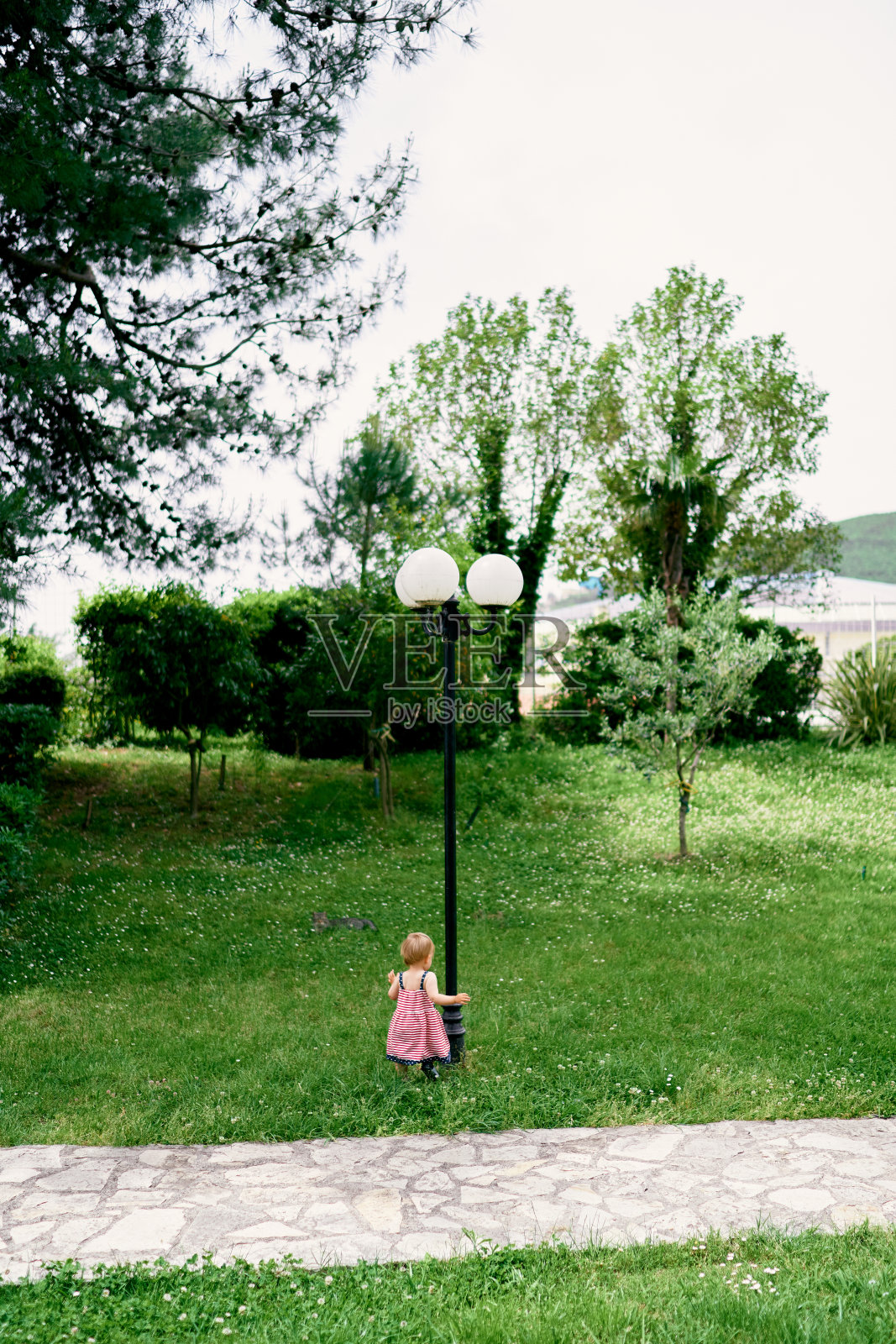 在一个绿色的公园里，小女孩站在灯笼旁边。后视图照片摄影图片