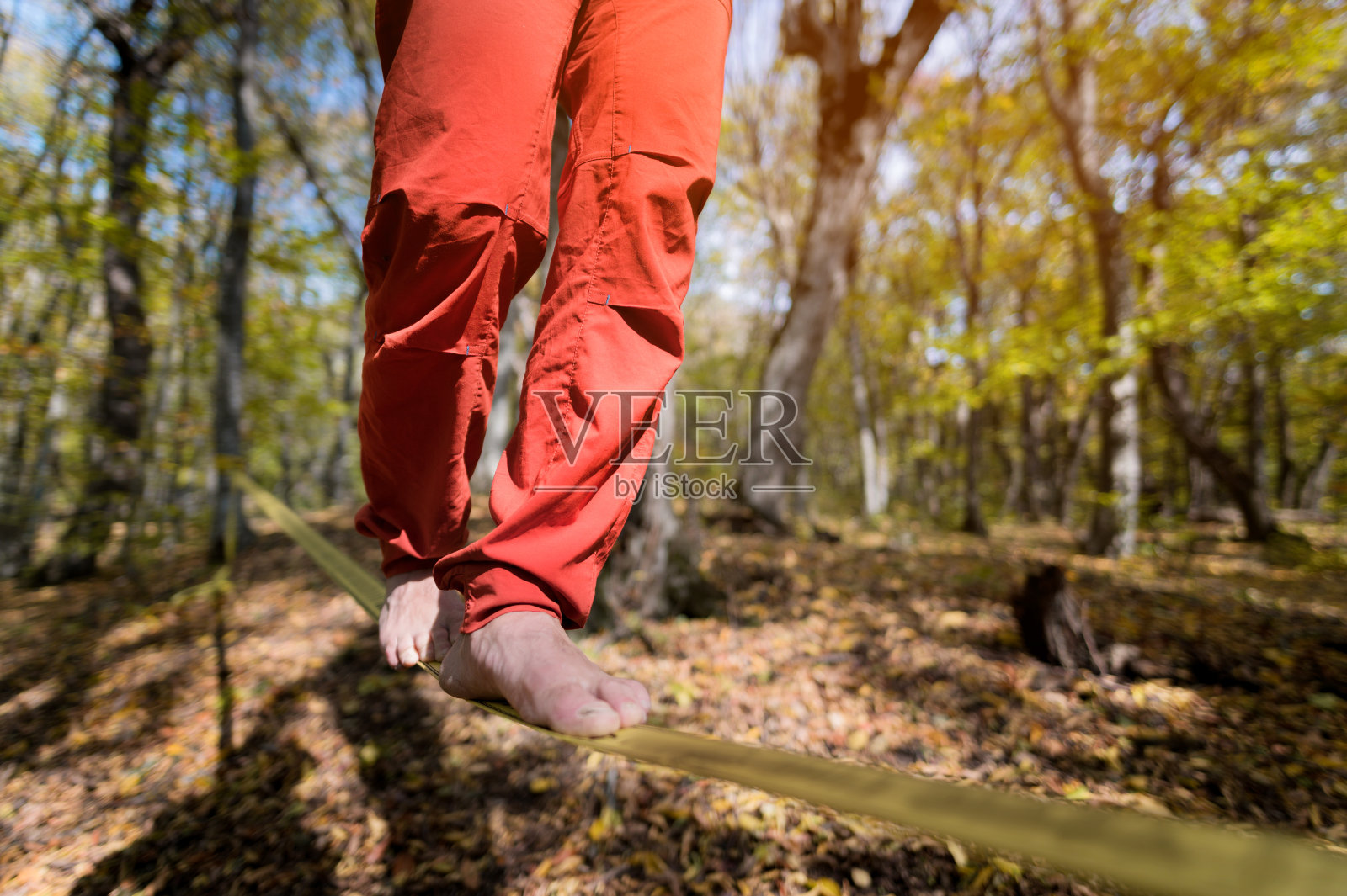 在秋天的森林里，一个运动员在练习松驰线平衡照片摄影图片
