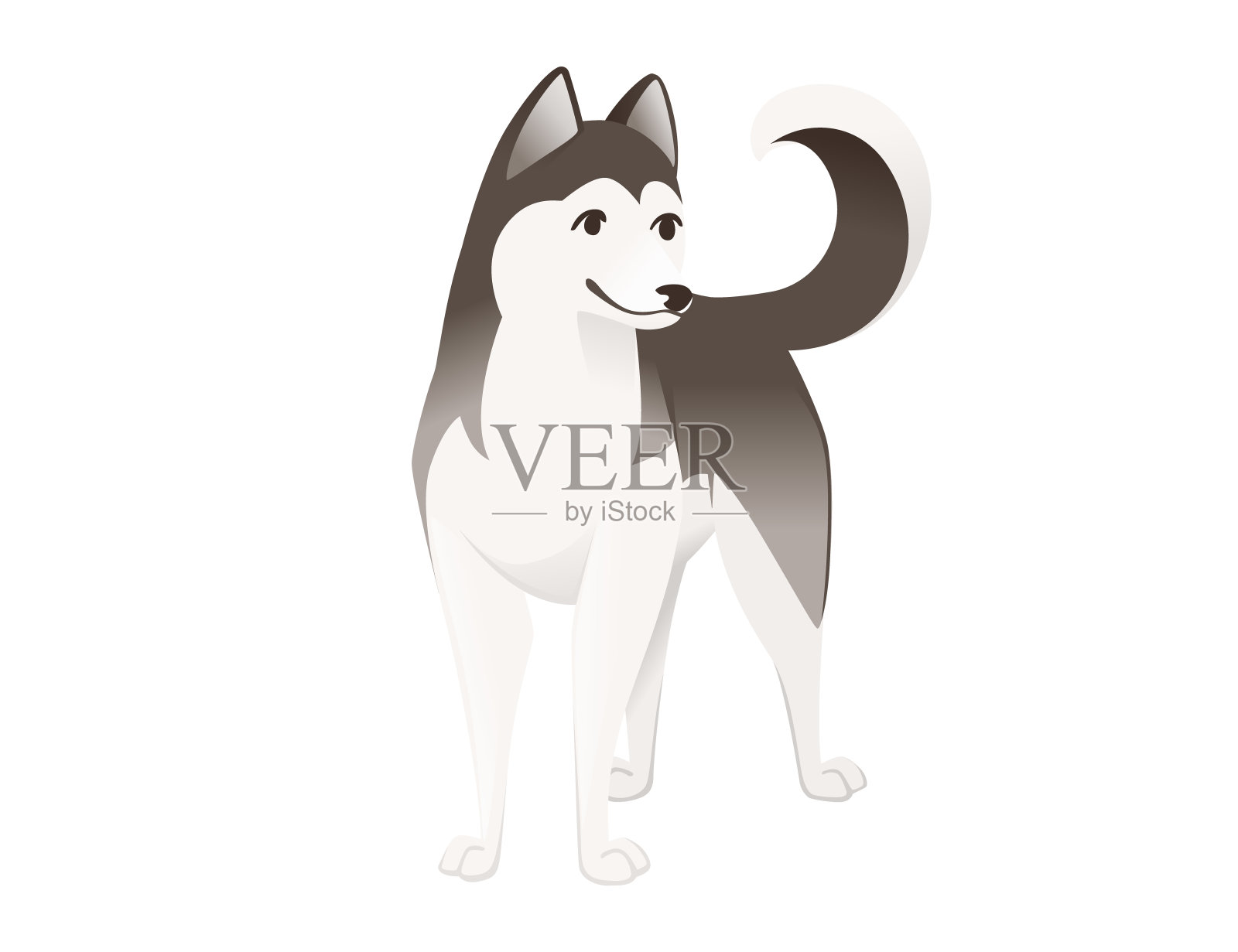可爱的家养狗哈士奇纯种卡通动物设计平面矢量插图插画图片素材