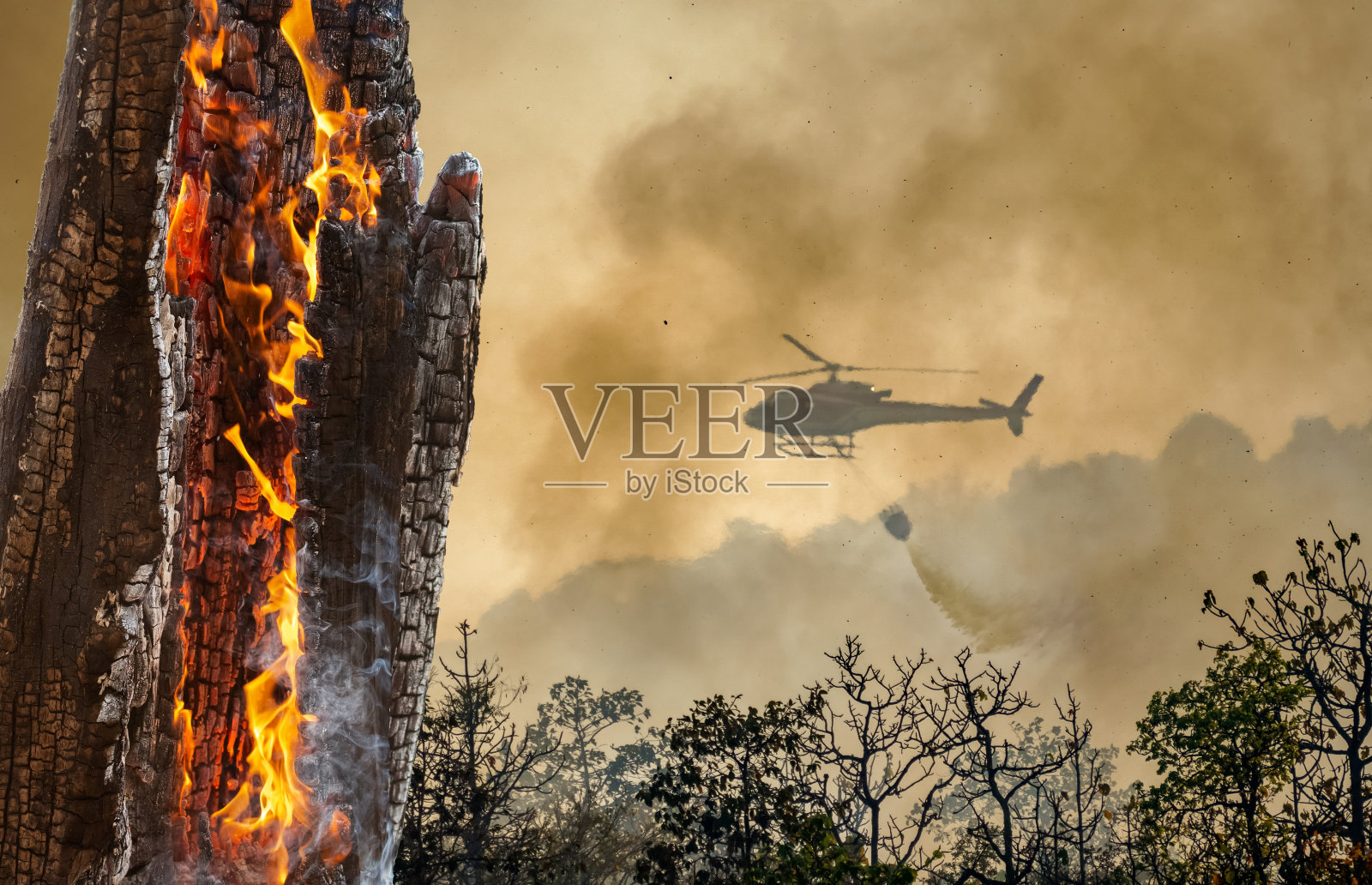 消防直升机向森林火灾喷水照片摄影图片
