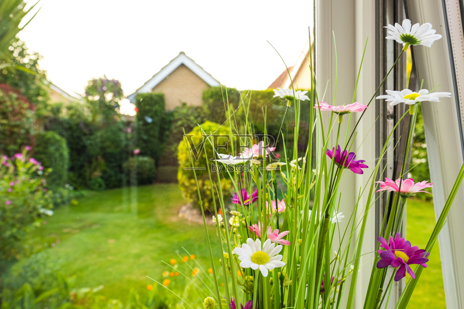浅焦点的高质量，人造花卉看到的房子温室。照片摄影图片
