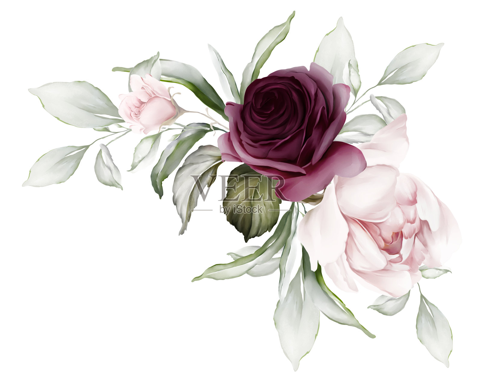 花型构图有紫色的玫瑰和娇嫩的牡丹。水彩风格的贺卡插画图片素材