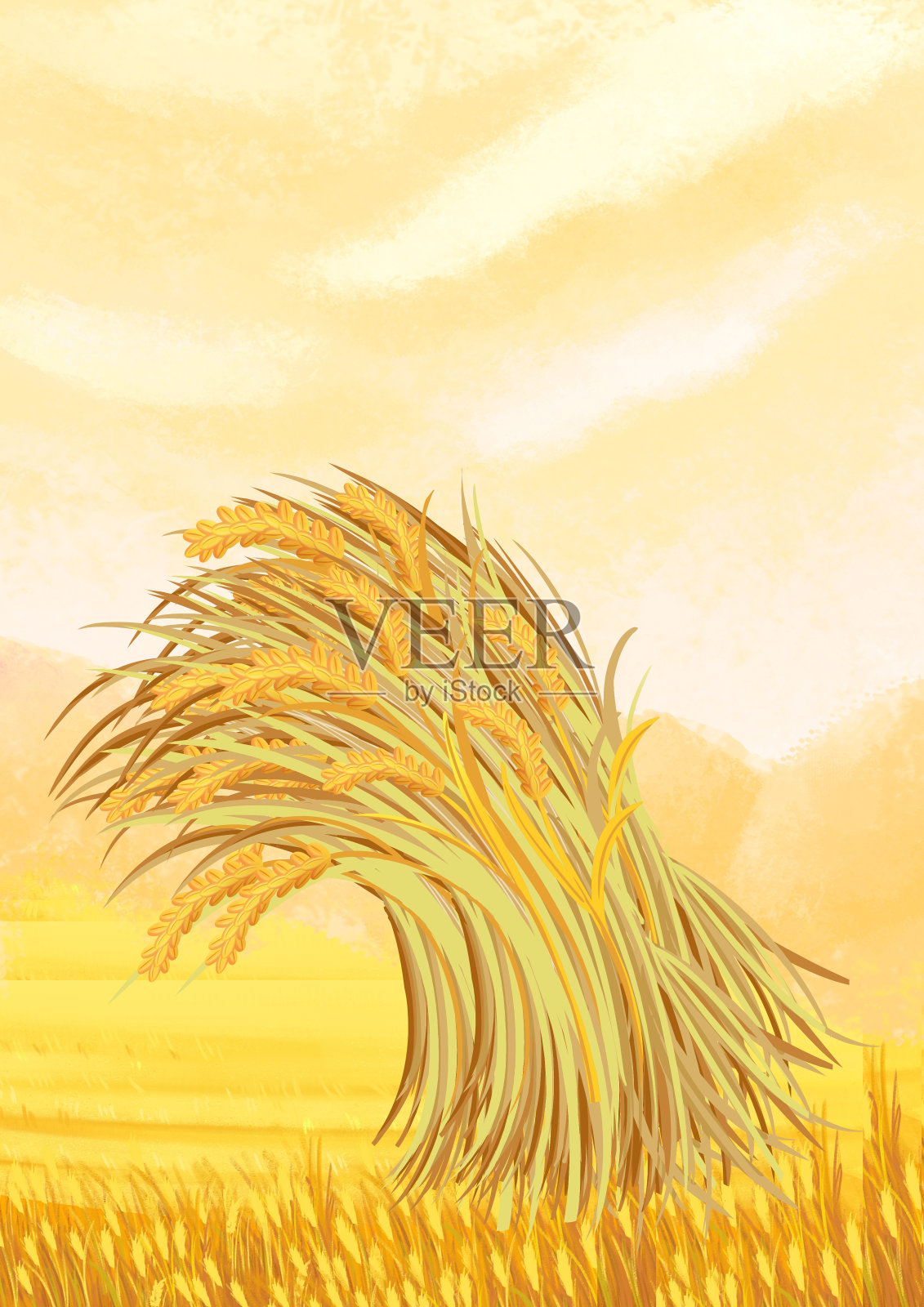 手绘写实秋季小麦成熟丰收场景插画插画图片素材