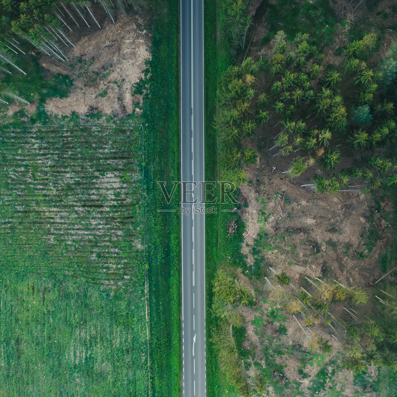 乡村道路的俯视图。无人机摄影概念。照片摄影图片