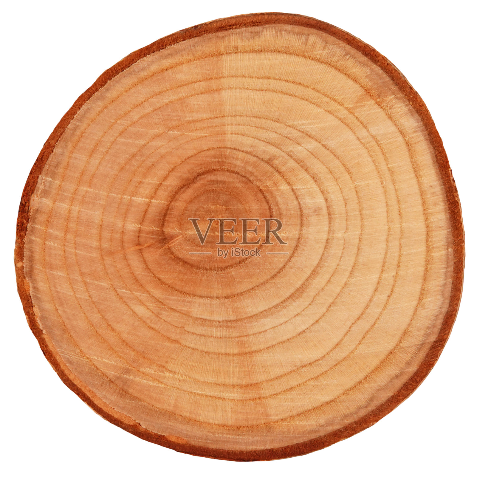 年轮上的木原木横截面木背景。天然木材的概念照片摄影图片