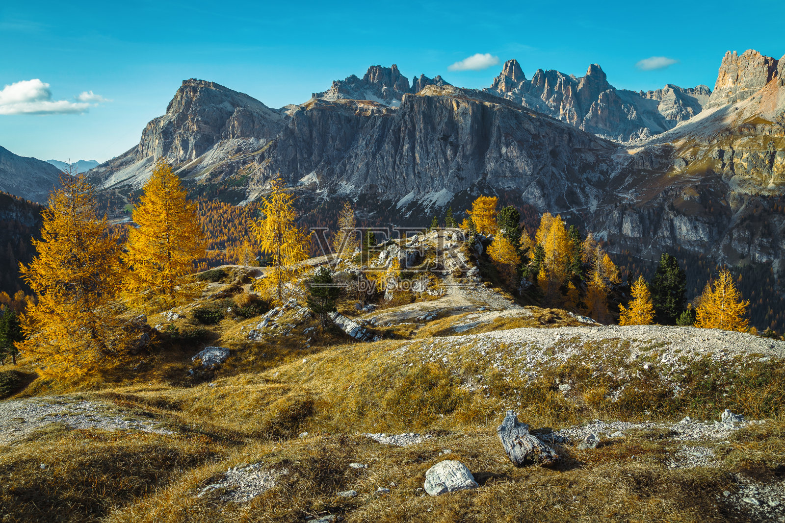 美丽的景色和秋天的风景与多彩的落叶松，白云石，意大利照片摄影图片