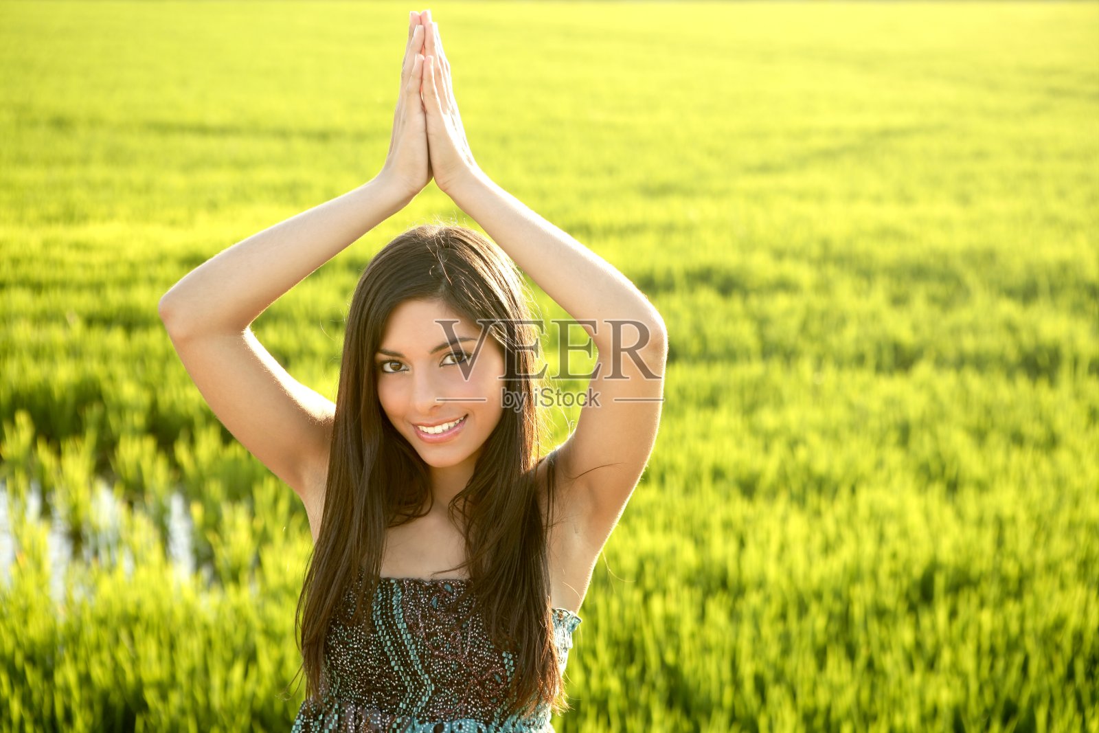 美丽的黑发印度女人在绿色的稻田照片摄影图片