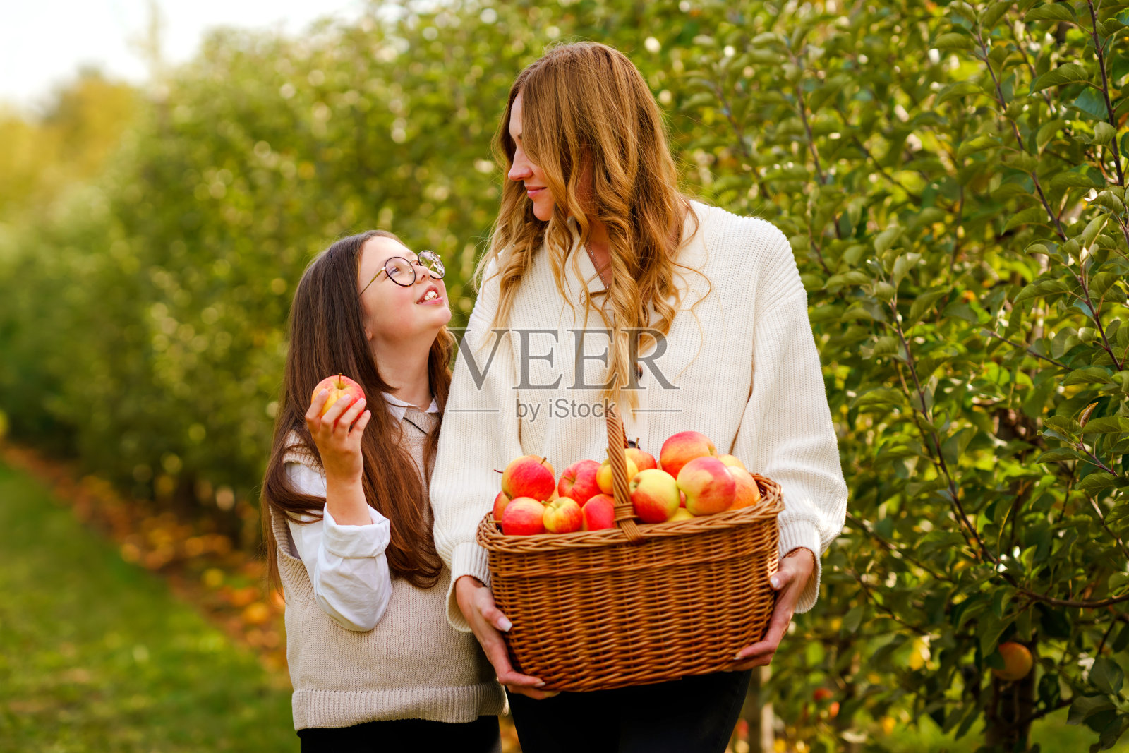快乐的女学生和美丽的母亲在有机果园里拿着红苹果。快乐的女人和女儿从树上采摘成熟的水果，在花园里玩耍。家庭收获的季节。照片摄影图片