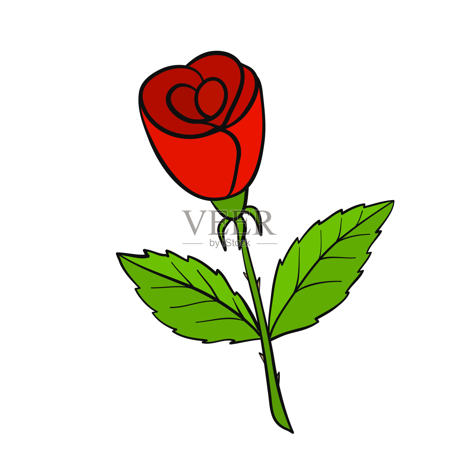 水彩手绘月季/玫瑰（rose）花型：四分莲座… - 堆糖，美图壁纸兴趣社区