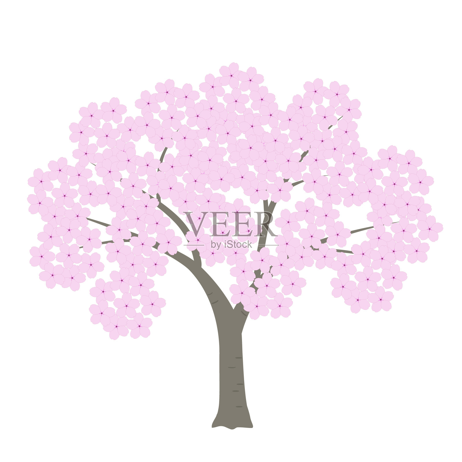 吉野樱桃树。白色背景上盛开的樱桃树。设计元素图片