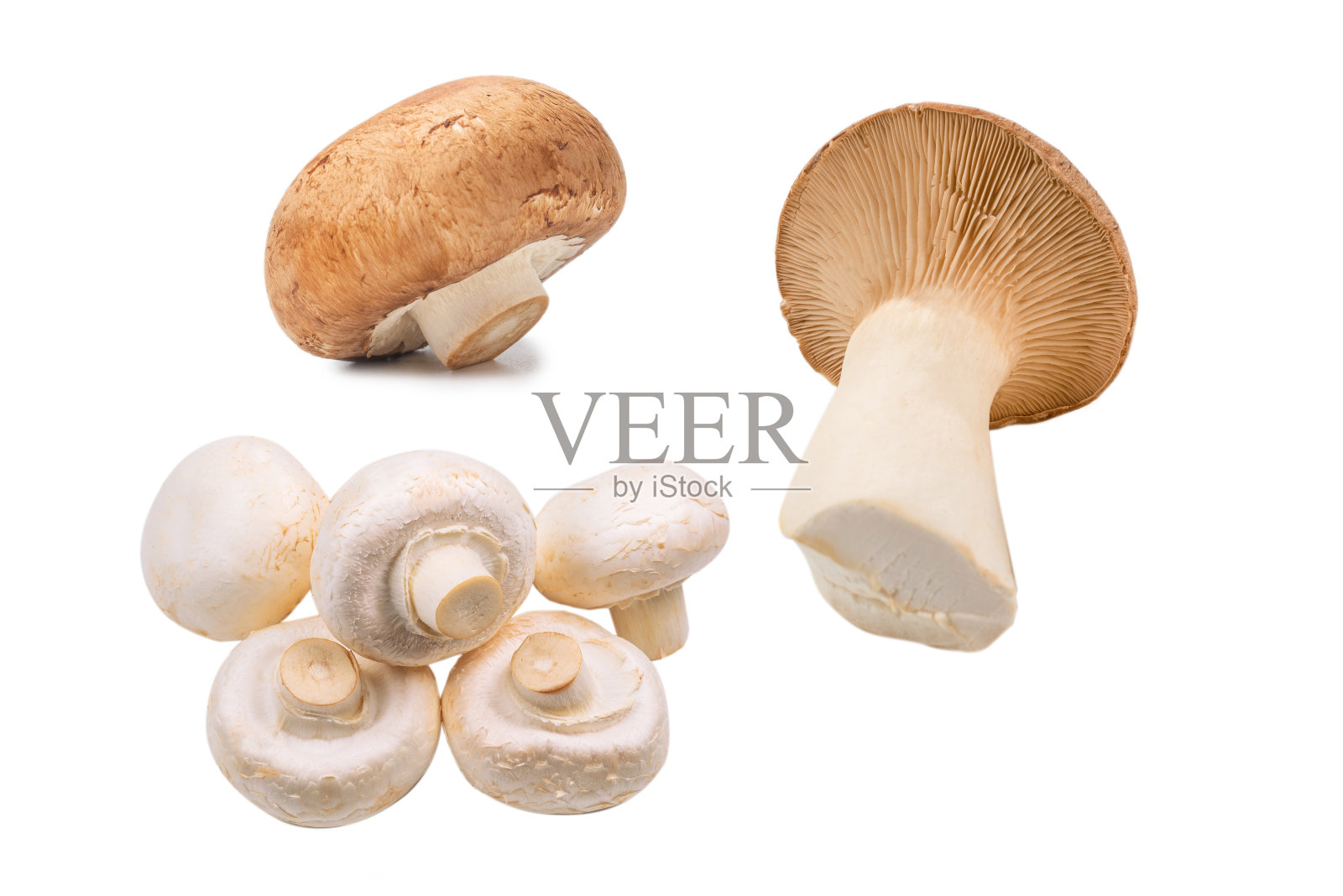 美味的蘑菇孤立在白色背景。照片摄影图片