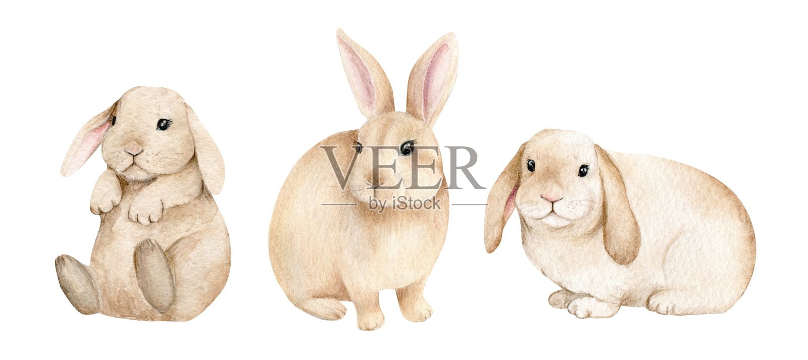 一个孤立的白色背景上的小兔子，水彩插图，可爱的林地动物，复活节兔子，兔子设计元素图片