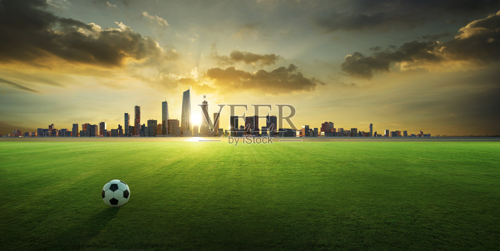 3D渲染城市背景草地上的足球照片摄影图片
