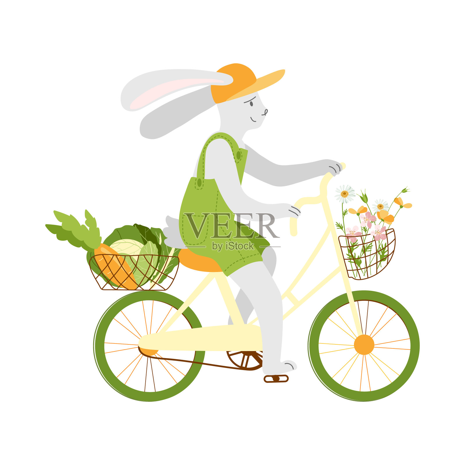 灰兔骑着自行车吃着蔬菜插画图片素材