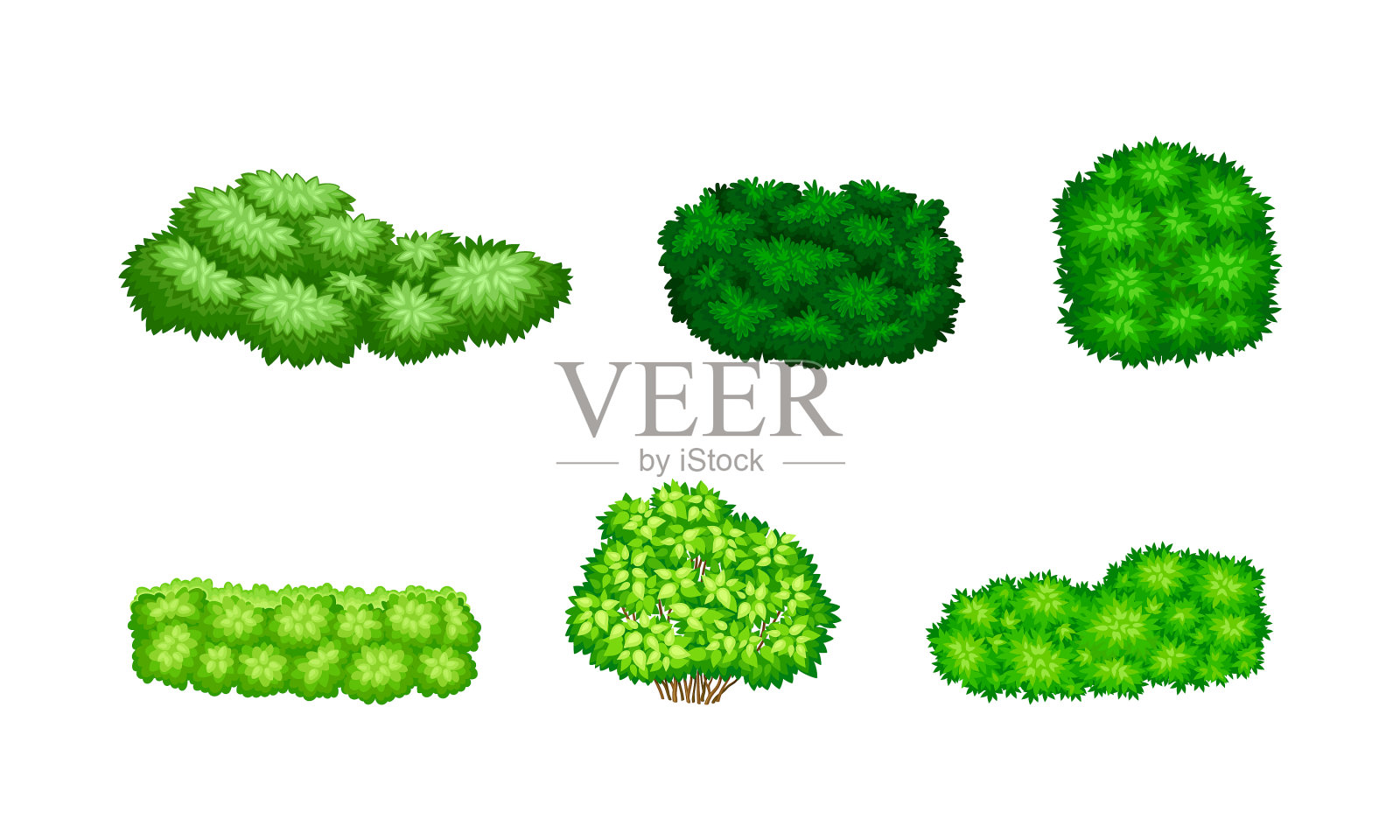 茂密的灌木丛为绿色的灌木提供了条件插画图片素材