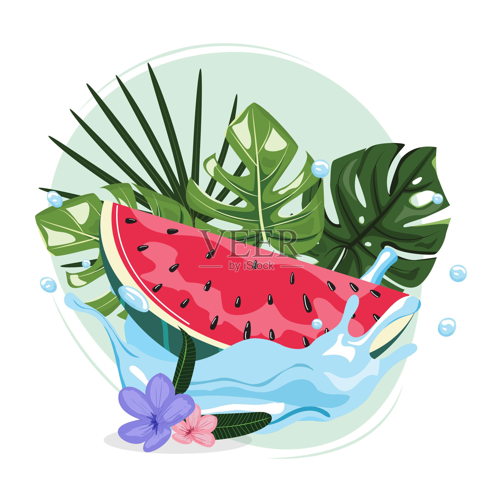 热带夏季插图与西瓜在水溅热带树叶的背景。插画图片素材