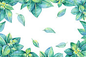 水彩框架与绿色树叶图片素材