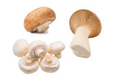 美味的蘑菇孤立在白色背景。摄影图片