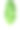 白色背景上的绿色芭蕉叶素材图片