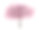 酸樱桃树孤立在白色背景素材图片