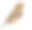 斑胸草雀，带尾草，白色背景素材图片