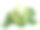 花园当归(angelica archangelica)素材图片