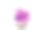 美丽的紫水晶druse特写在白色的背景-紫罗兰va素材图片