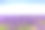 薰衣草花盛开的田野地平线。Valensole普罗旺斯,联邦铁路局素材图片