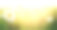 夏季自然背景与雏菊和阳光，横幅为网站素材图片