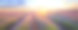 日落时分，瓦朗索勒薰衣草的全景素材图片