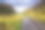 爱尔兰邓洛峡，彩虹之路素材图片