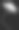 单色鹦鹉郁金香孤立在黑色素材图片