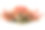 阿拉斯加帝王蟹素材图片