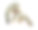 新鲜生黑虎虾海鲜孤立在白色背景素材图片