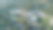 天堂峡谷小学天线素材图片