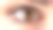 棕色的眼睛——近一点素材图片