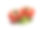 白色背景上的祖传番茄和罗勒嫩枝素材图片