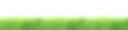 XXL绿草孤立在白色背景上素材图片