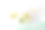 胡蝶蘭とエメラルドグリーンのオーガンジー素材图片
