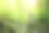 一个年轻人正在绿色的森林里穿过一条小溪素材图片