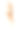 金毛猎犬站着，显示舌头孤立在白色上素材图片